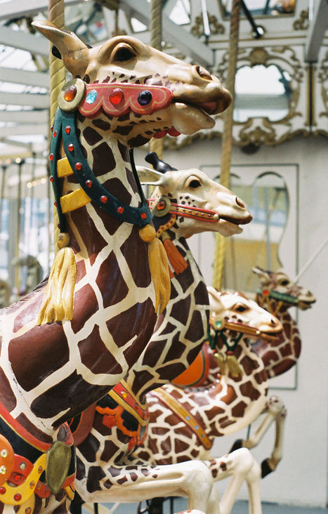 Zeum17_Looff1906 The jumping giraffes get smaller as you go inward at the four-abreast 1906 Looff carousel at the Children's Creativity Museum in San Francisco. (© Aaron Shepard, via carousels.org)