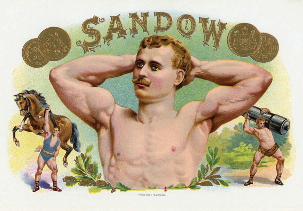 Sandow-Cigar-Label A cigar-box label flaunting Sandow's inimitable upper body, circa 1894. Courtesy David Chapman.