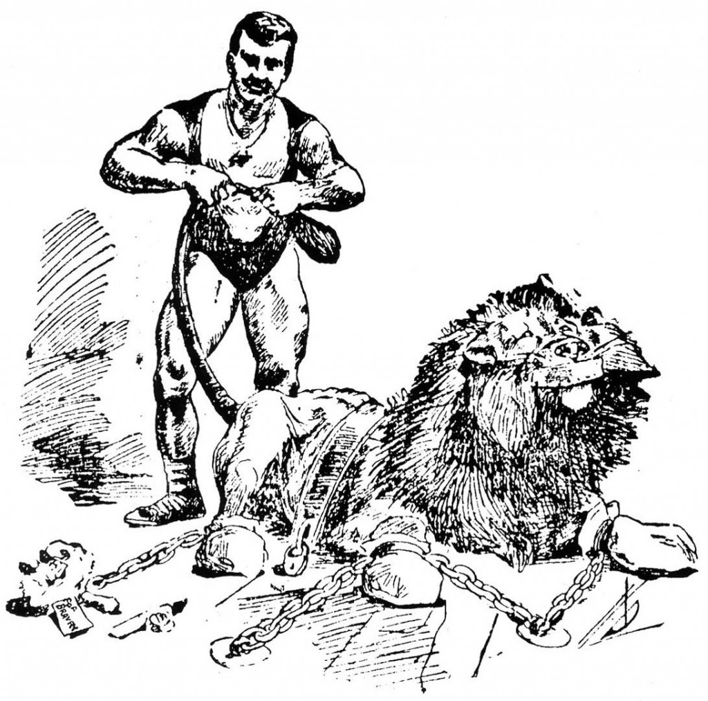 Sandow-vs-Lion A San Francisco newspaper illustration of Sandow's encounter with a subdued lion. Courtesy David Chapman.