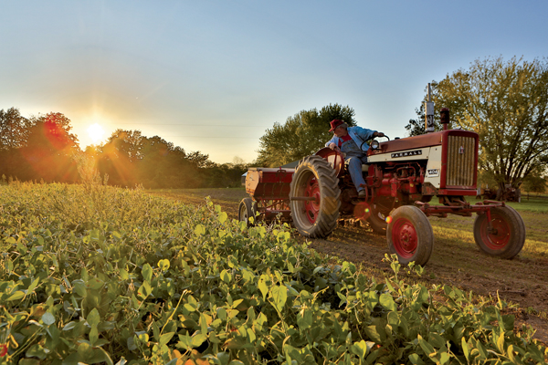 404 Farmall