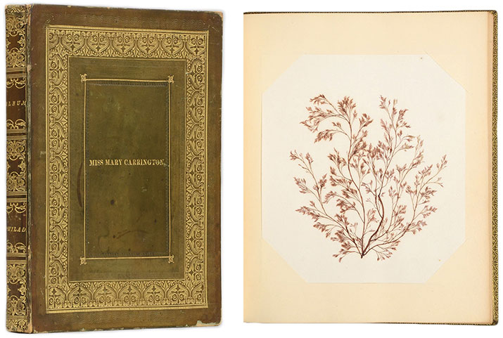 carrington-double The cover of the album labelled "Miss Mary Carrington" and one of the book's pressed seaweed samples, circa 1830.