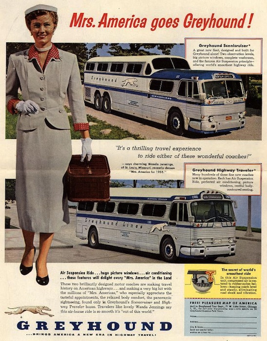 MrsAmericaGreyhound