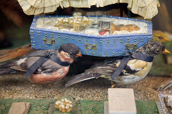 morbid_cockrobin A detail of Walter Potter's first diorama, "The Death and Burial of Cock Robin," circa 1861. (Photo by Joanna Ebenstein, via Morbid Anatomy/Blue Rider Press)