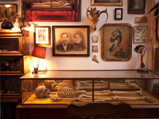 morbid_library Top: A Santa Muerte figure at Botánica de la Santa Muerte in Los Angleles. (Photo by Joanna Ebenstein) Above: The current Morbid Anatomy Library and Curiosity Museum open weekly inside the Proteus Gowanus gallery in Brooklyn. (Via the Morbid Anatomy Museum Facebook page)
