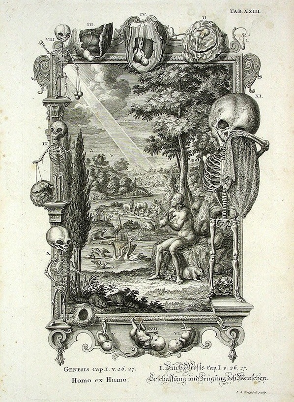morbid_physica An image titled "Homo ex Humo," or "Man From the Ground," from Johannes Jacob Scheuchzer's 1735 book set "Physica Sacra." Ebenstein says it "blends Bible commentary with natural history in a bombastic interest in all of the known world of its time." (Via Morbid Anatomy)