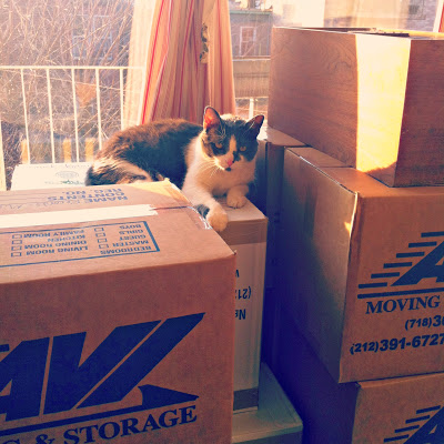 A few of the 15 boxes required for moving Goldman's record collection.