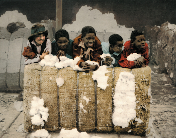 Cotton Boys pose in a cotton shed in Mississippi, circa 1900.