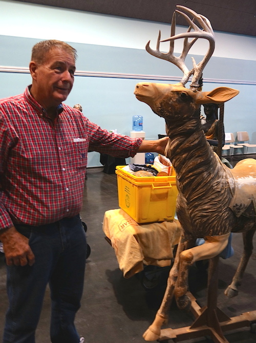 roadshow_bobcarouseldeer On his way out, Bob shows us his Philadelphia Toboggan Company deer from the old Great America carousel.