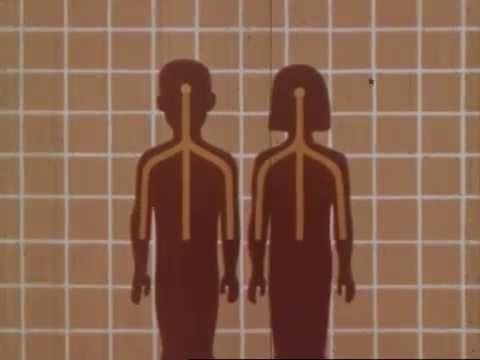A still from the animation in 1947's "Human Growth."
