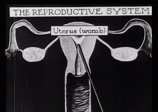 A depiction of the female reproduction system in "The Science of Life," one of the first "plumbing movies." (Still from "Sex(Ed): The Movie")