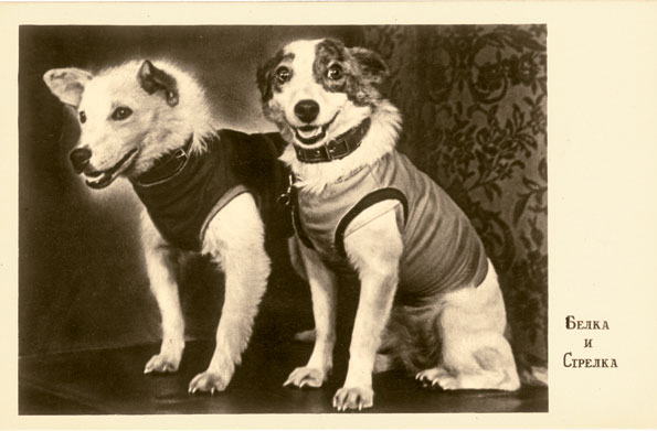 Top: One of many matchbox label designs celebrating the first living being in space. The text reads, "The First Sputnik Passenger—the dog 'Laika.'" Above: A postcard featuring a photograph taken at the space dogs' first press conference. The text reads, "Belka and Strelka." (© FUEL Publishing)