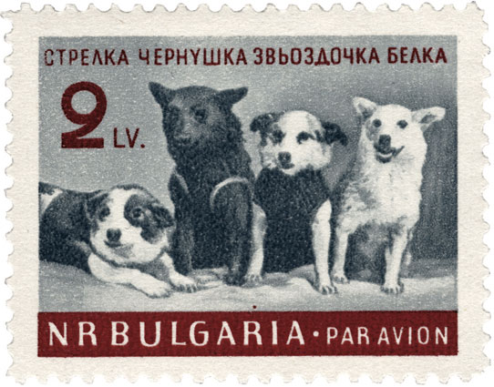 This 1961 Bulgarian stamp shows a group portrait of Strelka, Chernushka, Zvezdochka, and Belka, taken at the press conference held on March 28, 1961. (© FUEL Publishing)