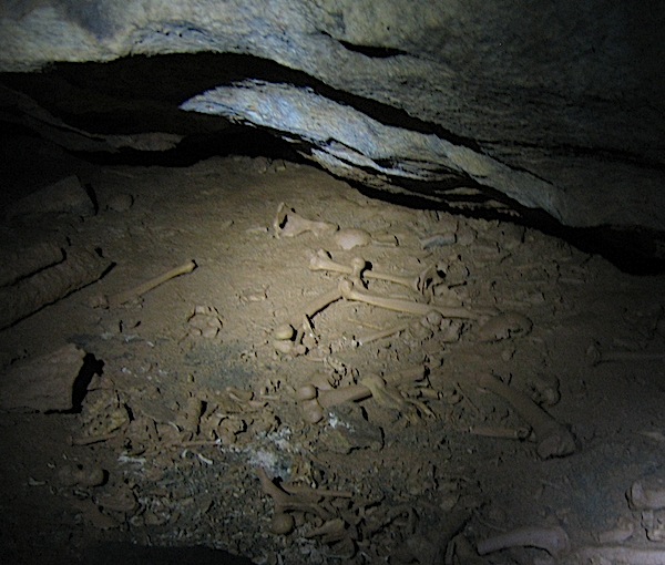More bones in the Midnight Terror Cave. Image via Cal State L.A.