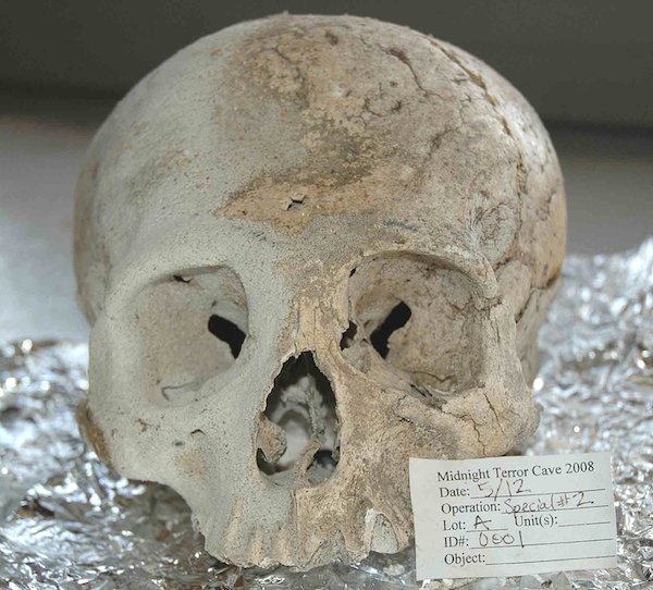 One of numerous skulls found in the Midnight Terror Cave.