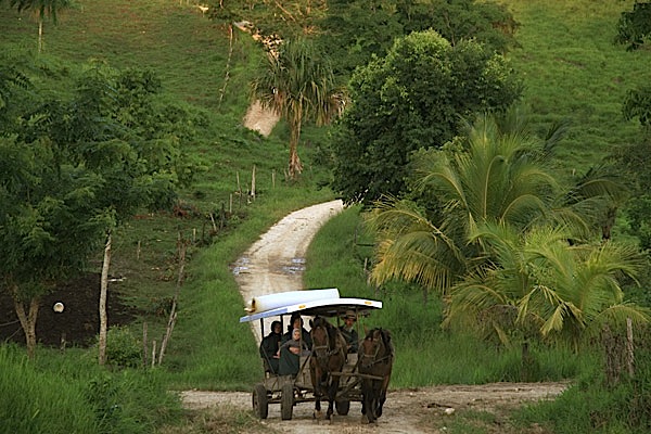 Top: The entrance to the Midnight Terror Cave. Above: Mennonites in Belize, like the one who rescued a looter in the Midnight Terror Cave, still get around by horse and buggy.