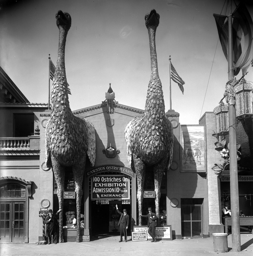 Many buildings along the Joy Zone used programmatic architecture, like these oversized ostriches, to attract potential customers. Image courtesy the Seligman Family Foundation.