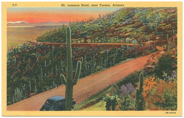 Final Mt. Lemmon Road postcard from 1940. Courtesy University of Texas Press.