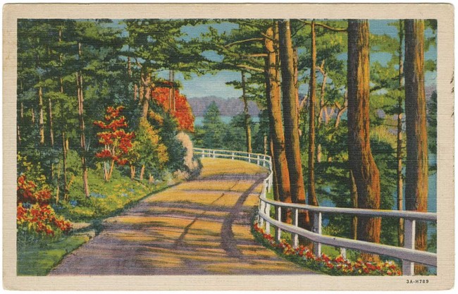 Between 1920 and 1930, the number of passenger cars in the United States rose from 8 to 23 million, which may explain why so many postcards of roads were produced by Teich & Co. Courtesy University of Texas Press.