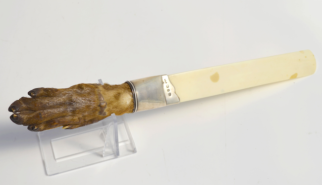 An ivory paper-knife with an otter’s foot for the handle.