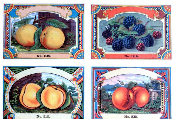 Fruit labels from the original Oneida Community. (From the Oneida Community Mansion House Facebook page)
