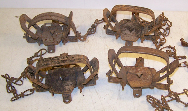 These four rusted vintage Victor Traps were produced by Oneida Community, Limited.