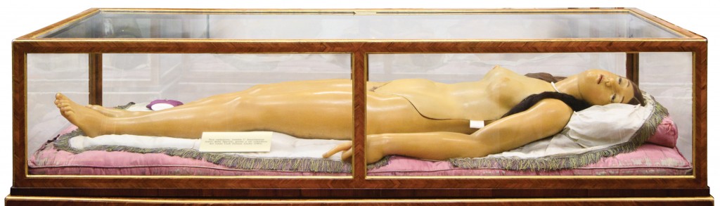 Top: A half-scale wax Anatomical Venus likely made as a study for La Specola's Medici Venus. Courtesy the Wellcome Library, London. Above: The iconic Medici Venus from the workshop of Clemente Susini at La Specola, in Florence, Italy (1780-82). Courtesy the Natural History Museum of Florence. Photo © Joanna Ebenstein.