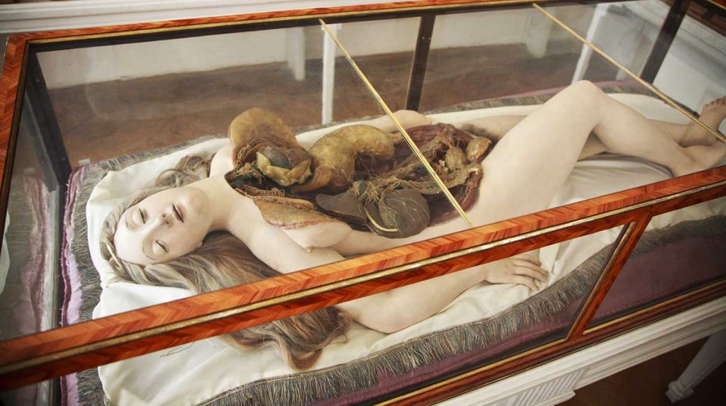 This Anatomical Venus at the Josephinum in Vienna is fixed with an expression of trance-like ecstasy. Collections and History of Medicine, MedUni Vienna. Photo © Joanna Ebenstein.