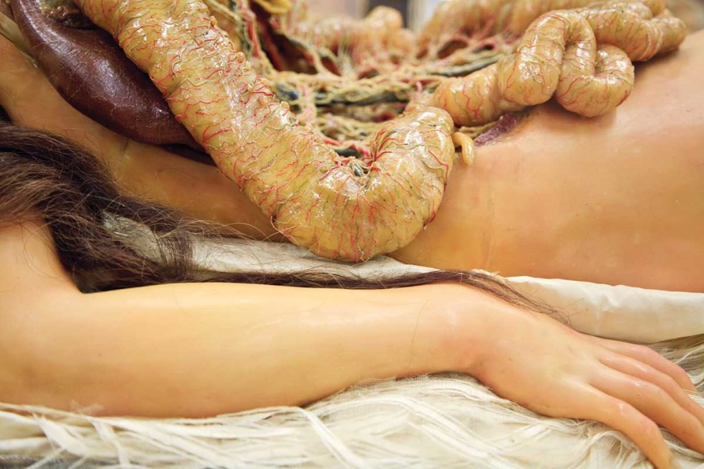Another anatomical model, sometimes called “The Slashed Beauty,” made in Susini's workshop at La Specola. Courtesy the Natural History Museum of Florence. Photo © Joanna Ebenstein.