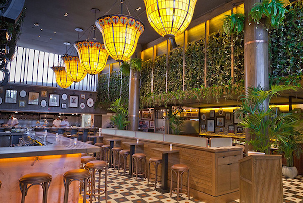 Oleanders in Williamburg is bringing back the plants, leaded-glass lamps, tile flooring, and framed portraits of the first fern bars. (Via Oleanders)