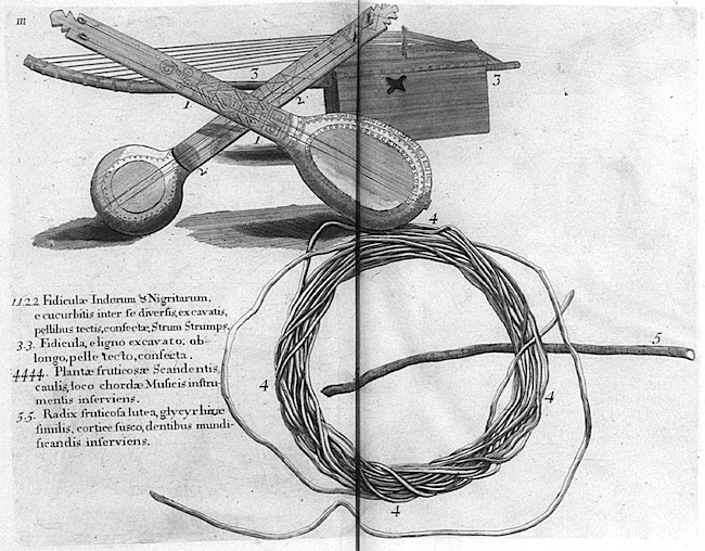 A page from Hans Sloane's A Voyage to the Islands of Madera Barbados, Nieves, S. Christophers and Jamaica, 1707. This image was taken from a copy in the John Carter Brown Library at Brown University.