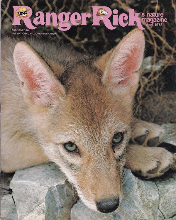 "Ranger RIick's Nature Magazine," published by the National Wildlife Federation, encourages kids to think about pollution and environmental solutions. (Via eBay)
